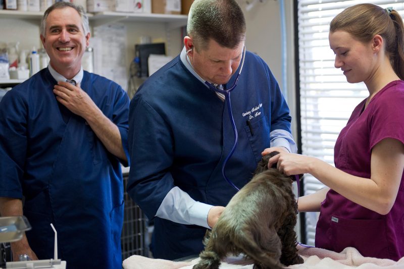 Veterinary-Medical-Center-Atascadero