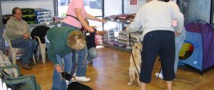 Puppy Class